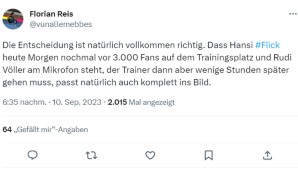 Netzreaktionen, Hansi Flick, Entlassung, DFB-Team, Deutschland