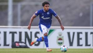 WESTON MCKENNIE: Mit Abstand der beste Fang der Schalker aus dem Ausland. Kam 2016 von der Dallas Academy aus den USA zu S04 und schaffte bereits ein Jahr später den Sprung zu den Profis. 2021 für 20,5 Mio. Euro an Juventus Turin verkauft.