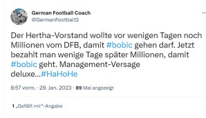 bobic-6