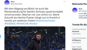 bobic-7