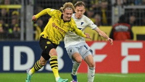 BVB, Läuft, Borussia Dortmund, TSG Hoffenheim, heute live, Free-TV, Livestream, Übertragung