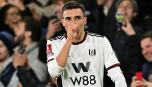 Joao Palhinha, FC Fulham